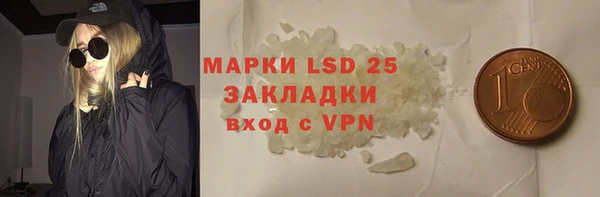 ГАЛЛЮЦИНОГЕННЫЕ ГРИБЫ Ладушкин