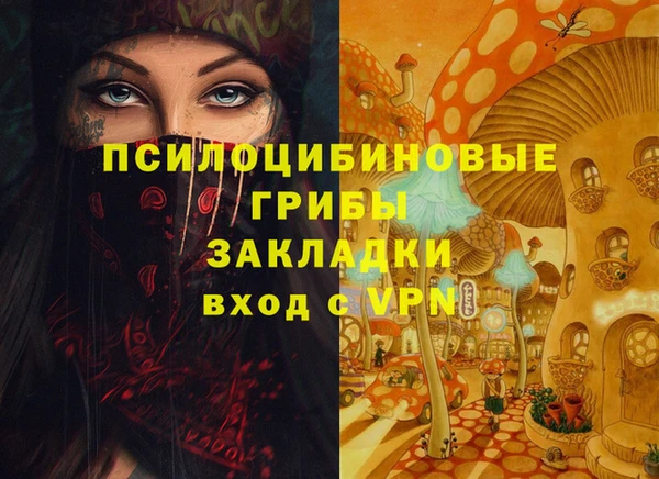 ешки Горняк