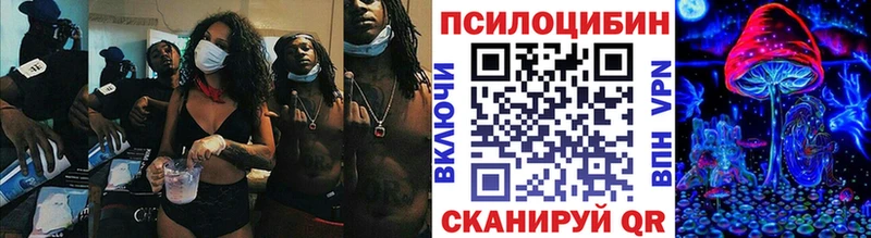 omg зеркало  Осинники  Псилоцибиновые грибы Psilocybe 