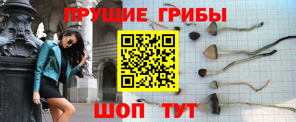 Галлюциногенные грибы GOLDEN TEACHER Осинники