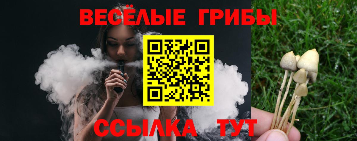 Осинники  Галлюциногенные грибы мухоморы  Псилоцибиновые грибы прущие грибы  Вход с VPN 