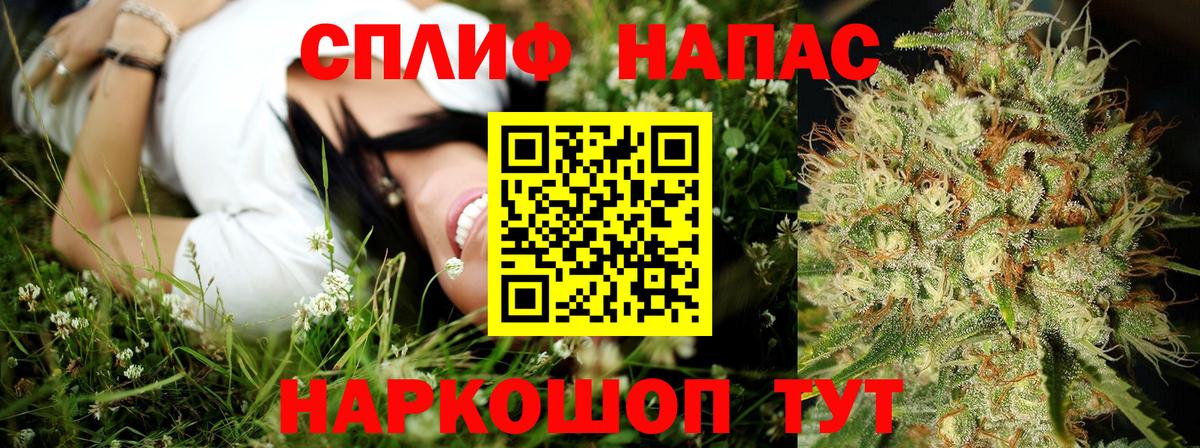 Канабис гибрид Осинники